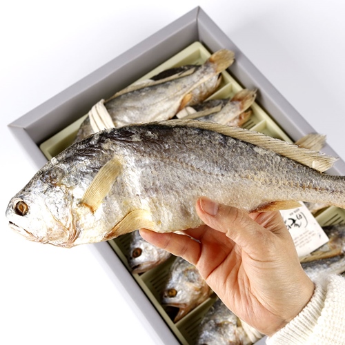 [명품굴비] 영광법성포 보리굴비 27cm, 29cm, 31cm내외 5미, 10미 가정용, 선물용, 명절선물세트, 산지직송 99,700원