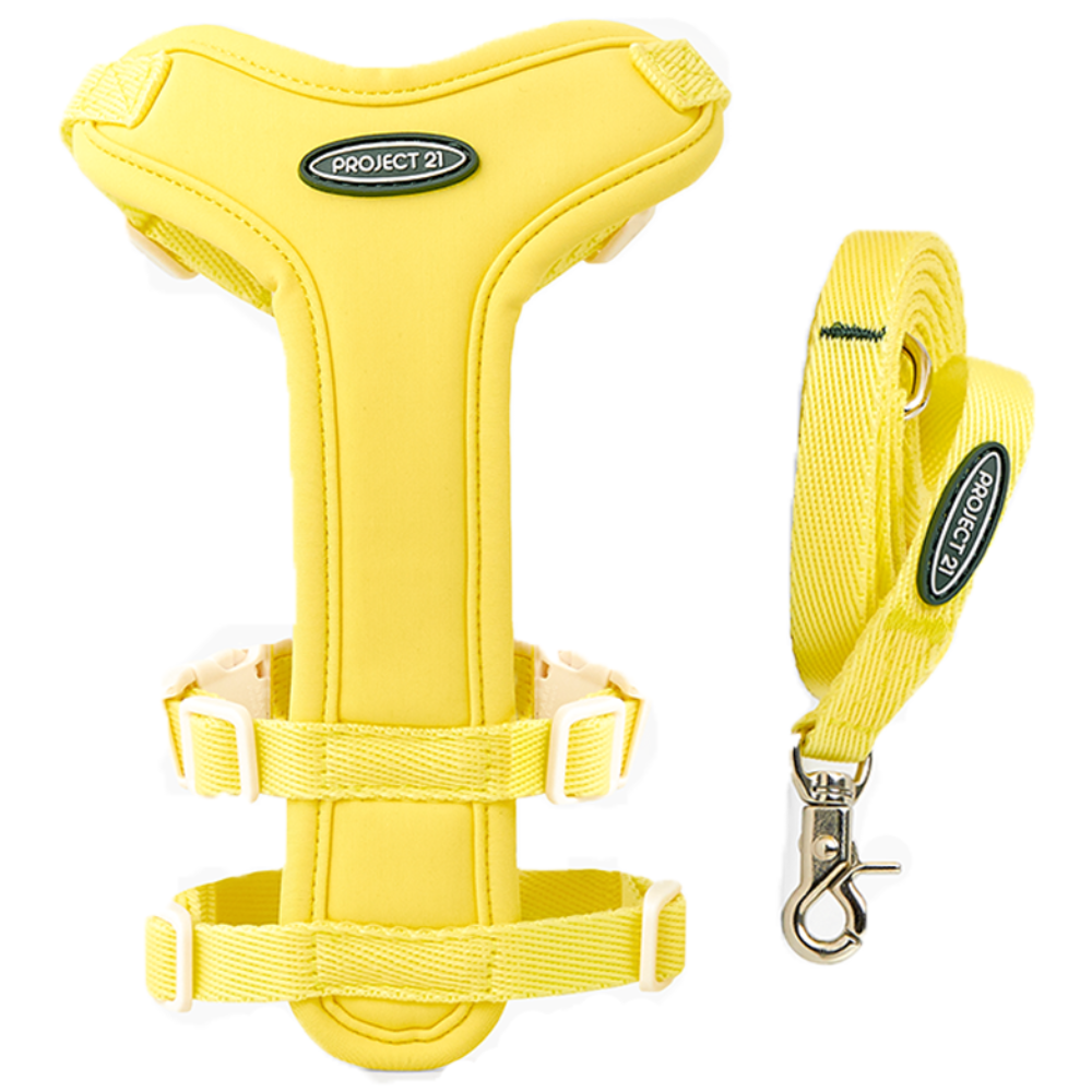 프로젝트21 강아지 하네스 + 리쉬 세트 44,900원