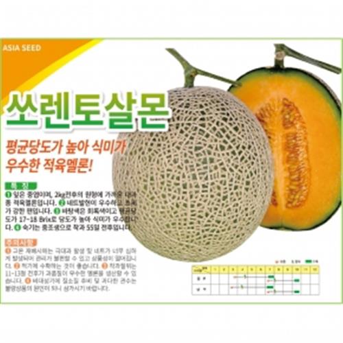 아시아종묘 씨앗 멜론 쏘렌토살몬 10립 4,000원