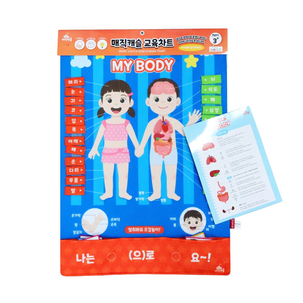 차트 소중한 나의 몸 배우기 500043 83,500원