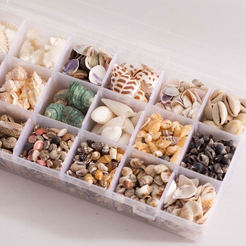 미니 조개 18종 모음 테라리움 캔들 만들기 재료 인테리어 장식 소품 13,900원