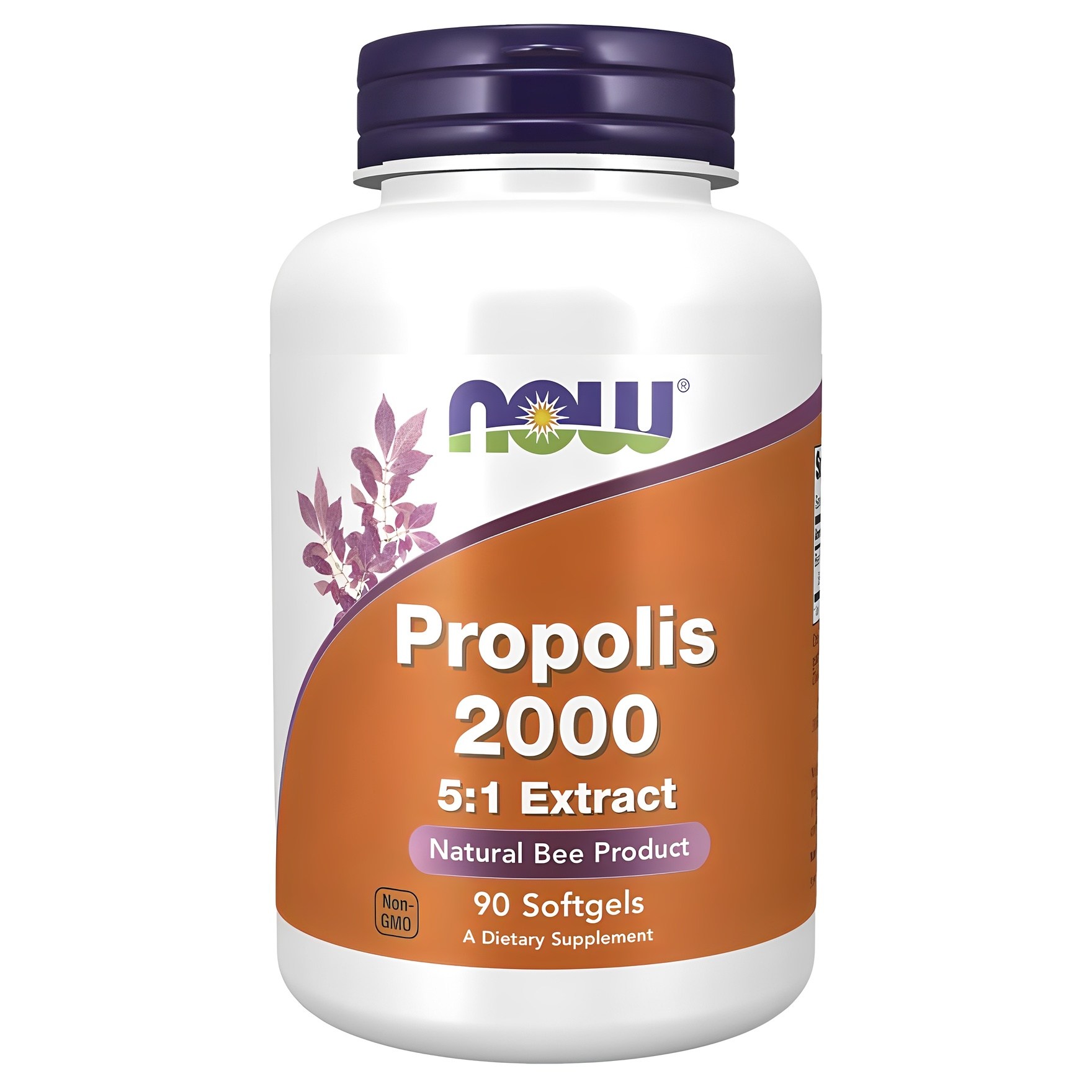 나우푸드 프로폴리스 2000 5:1 추출물 소프트젤, 1개, 90정 25,510원