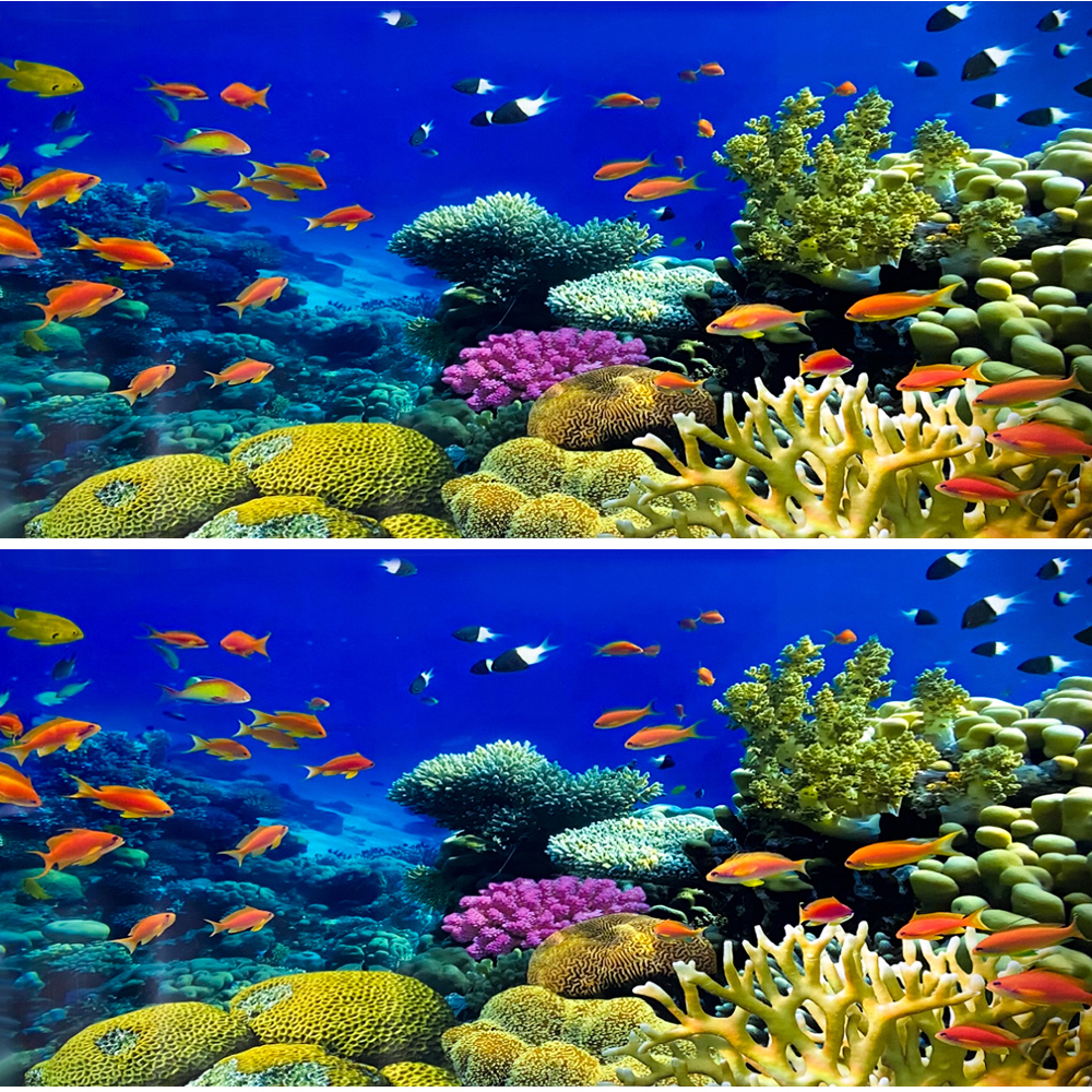 미미네아쿠아 3D 어항 백스크린 10,420원