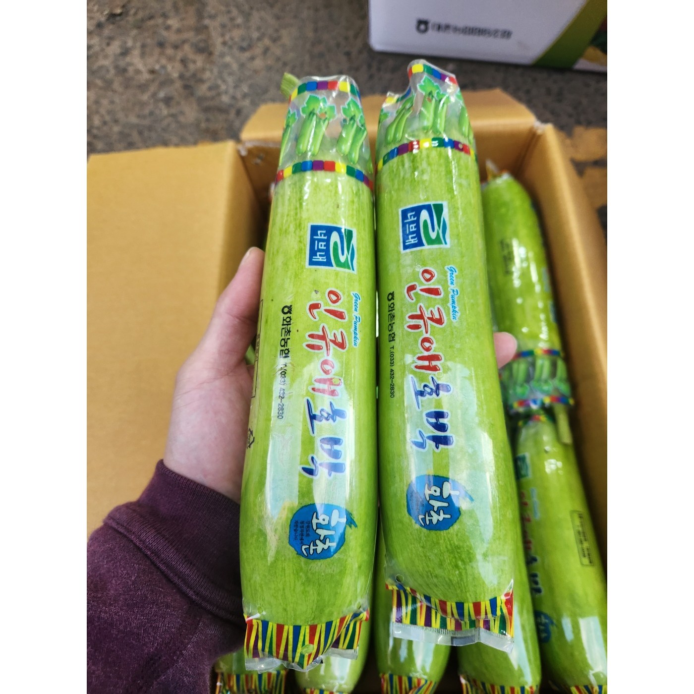 국내산 애호박 인큐애호박, 1개, 애호박 20개입(1box) 28,000원