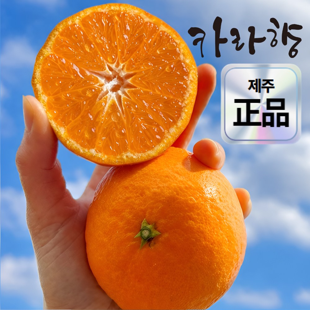 [초특가한정판매] 최대16Brix 과즙폭발 제주직송 카라향 12,990원