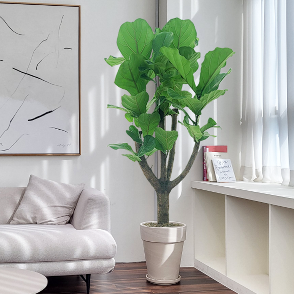 농원청년 크림토분 취임 영전 이직 승진 축하화분 실내 공기정화식물 사무실 카페 매장 공간 인테리어식물 거실화분 집들이 개업식 축하화환 여인초 금전수 뱅갈고무나무 아레카야자 행운목 167,000원