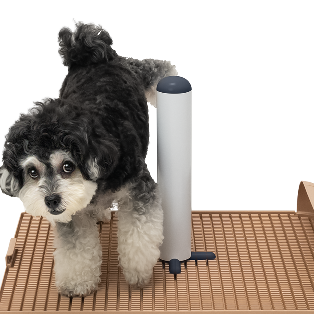 독톡 배변판 전용 봉봉이 수컷 강아지 마킹 14,900원