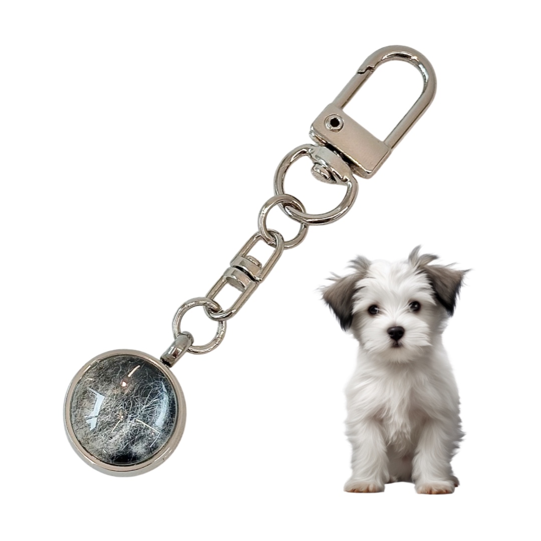 강아지 메모리얼 털 보관 키링 고양이 선물 캡슐 추모 펫로스 8,900원