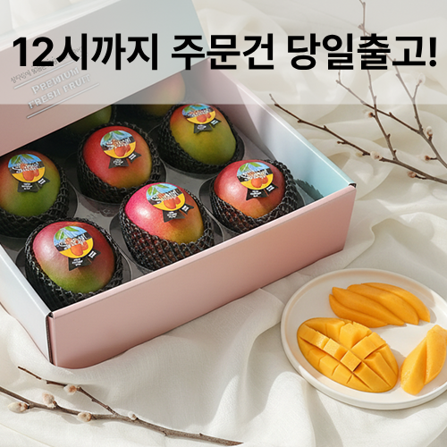[망고성지] 항공직송 고당도 애플망고 선물세트 당도선별 69,900원