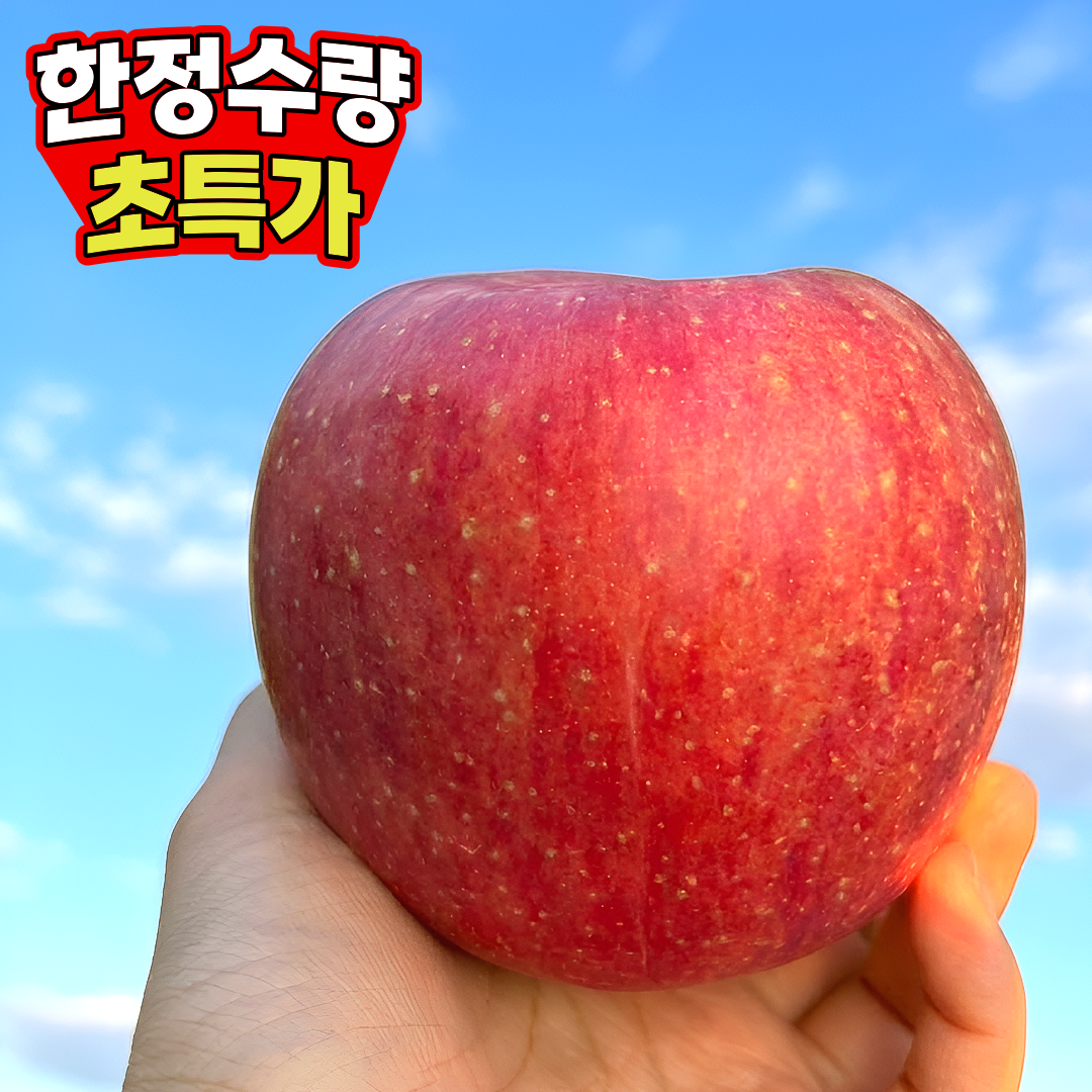 [일일한정수량] Birx선별 극가성비 못난이사과 초특가할인 15,900원