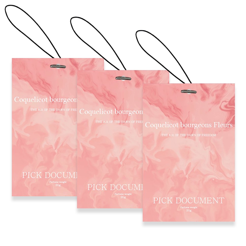 [ 1+1+1 ] 픽도큐먼트 퍼퓸 에어 샤쉐 차량용 방향제 3p, 1세트 35,900원