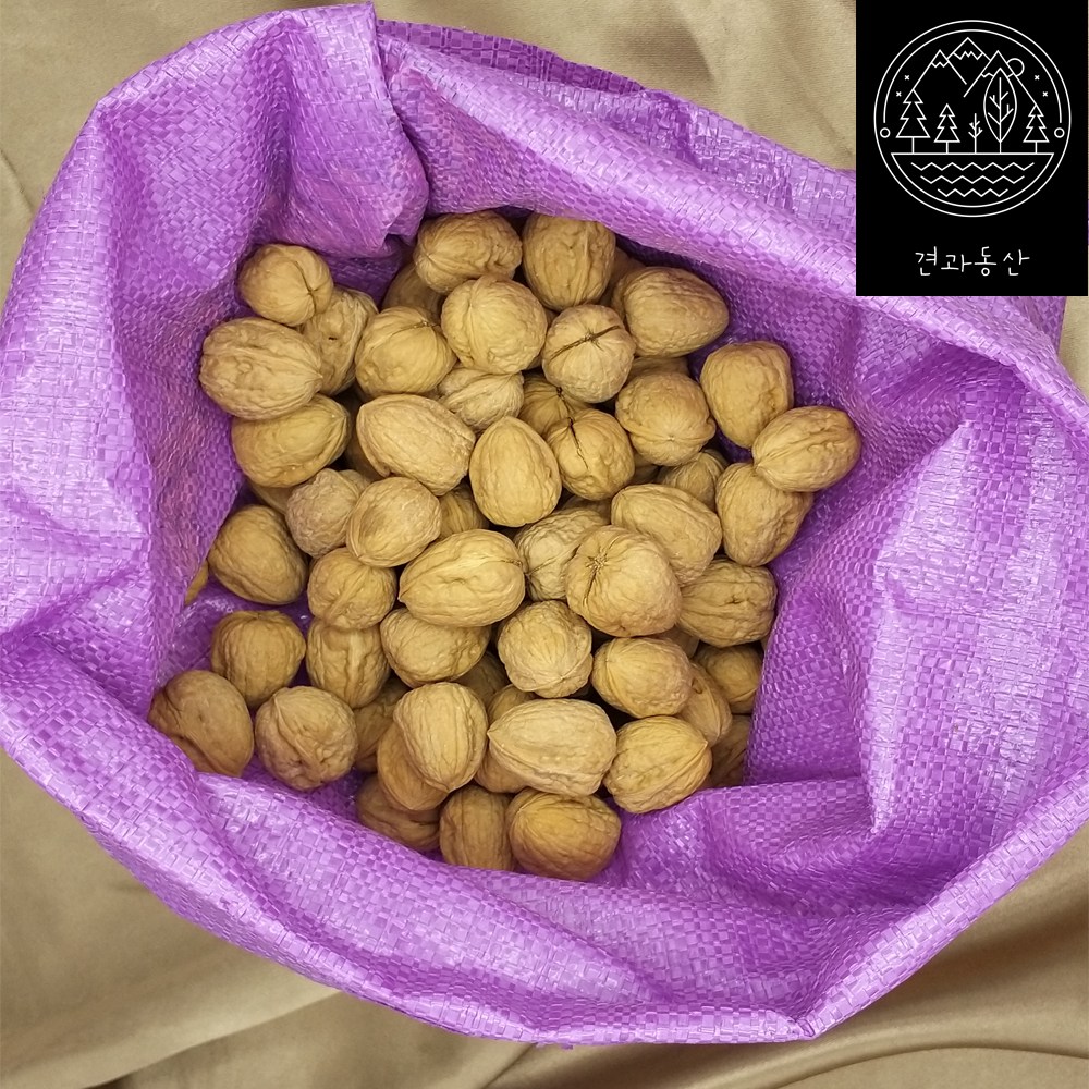 2025년 햇 것 (바로 통관한) 미국산 캘리포니아 피호두 알호두 대용량 10kg 벌크 대보름 부럼 프리마제품 73,000원