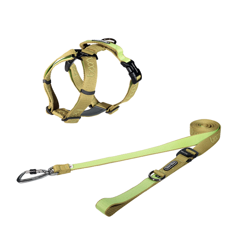 분독 플레이리쉬 롱리드줄 320cm + 플레이 하네스 세트, 키위, 1세트 110,200원