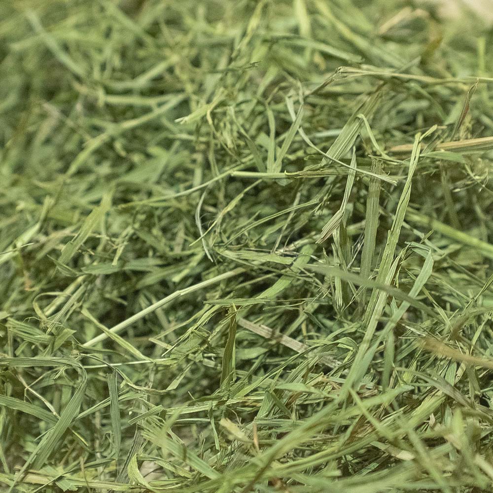 헤이랜드 토끼 기니피그 손질 티모시 건초 3번초 18,000원