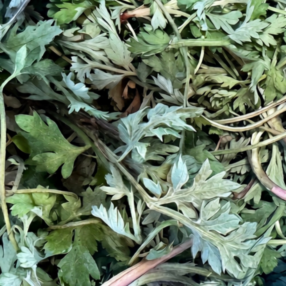 (산지직송) 청담농수산 국산 남해 해풍 쑥 32,600원