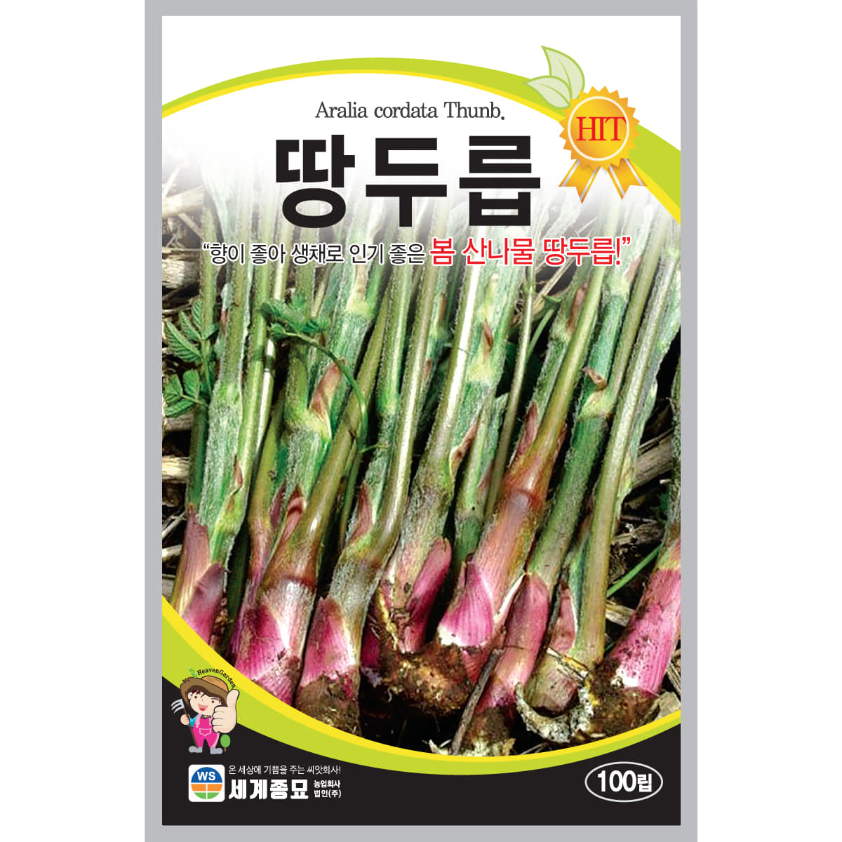 세계종묘 땅두릅 씨앗 100립 5,100원