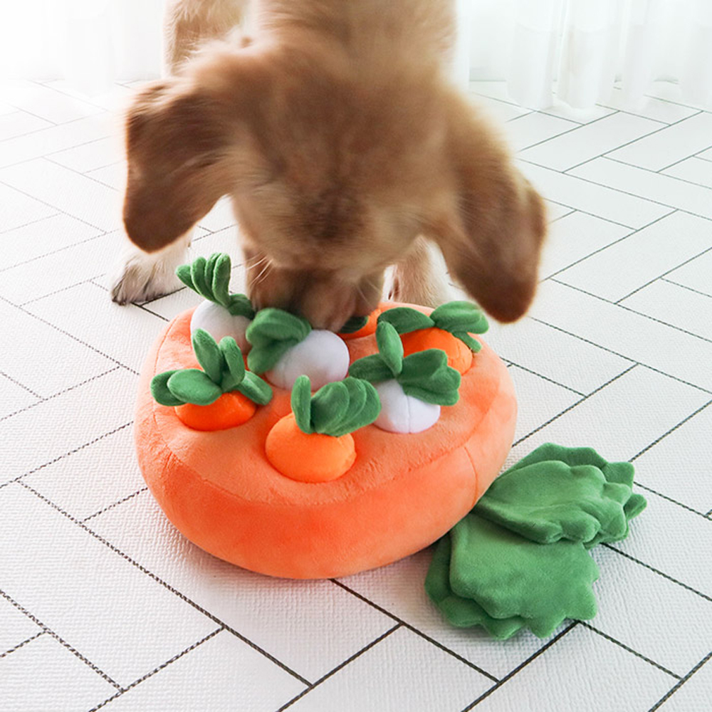 딩동펫 반려동물 노즈워크 장난감 당근모양 13,900원