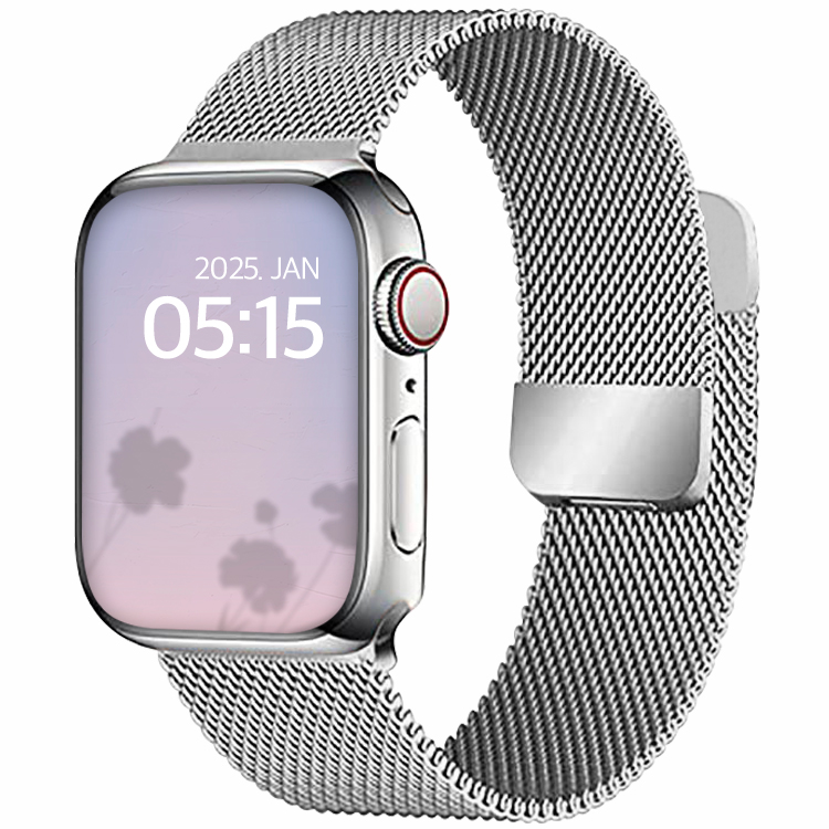 디지지 애플워치 호환 밀레니즈 루프 마그네틱 스트랩, 실버, 1개 7,520원