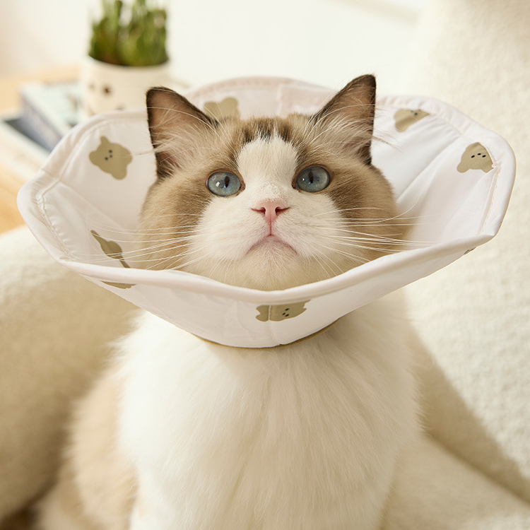 랜보어 반려동물 베어패턴 넥카라 10,800원