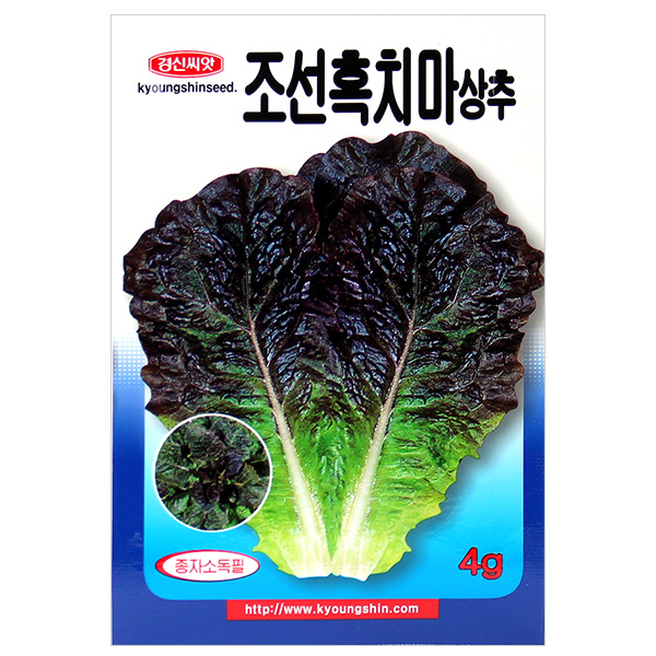 세인화분 조선 흑치마 상추 4g - 상추씨 채소 씨 씨앗 4,500원