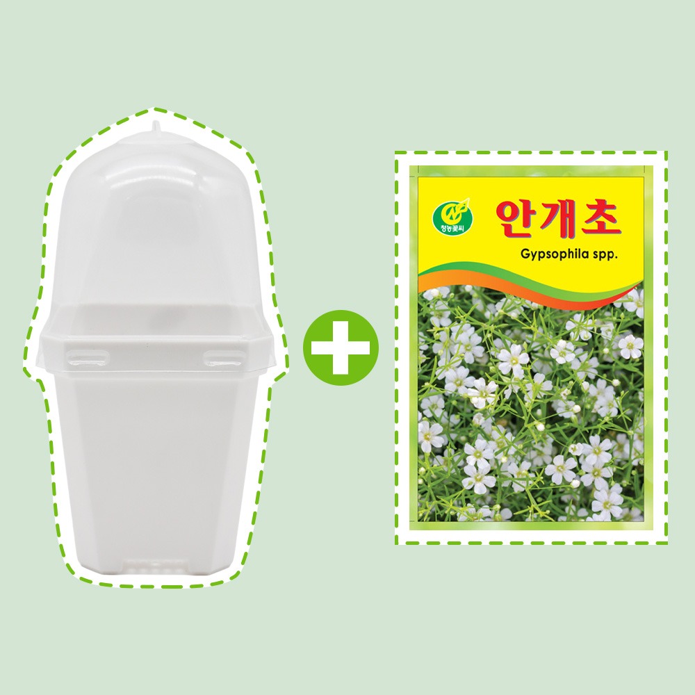 미미네아쿠아 미니 화분 안개초 꽃씨앗 키우기 세트 4,860원