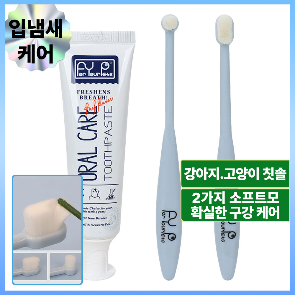 하이코이 강아지 치약 칫솔 세트 초미세모 2종 애견 덴탈케어 60g, 1개 21,900원