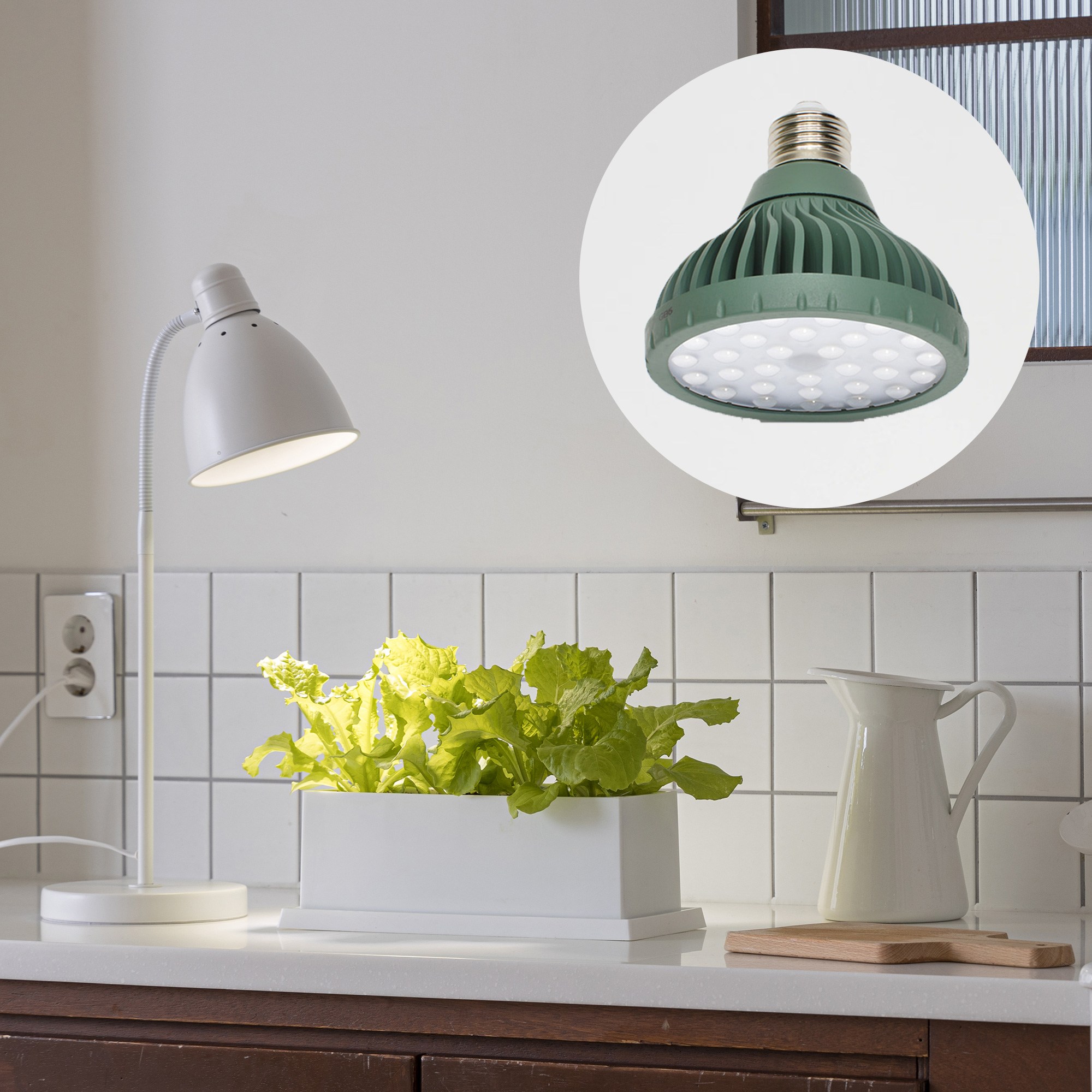 파미 식물등 생장 성장 램프 전구 조명 식물 LED _ 채소 파장, 주백색, 1개 36,000원