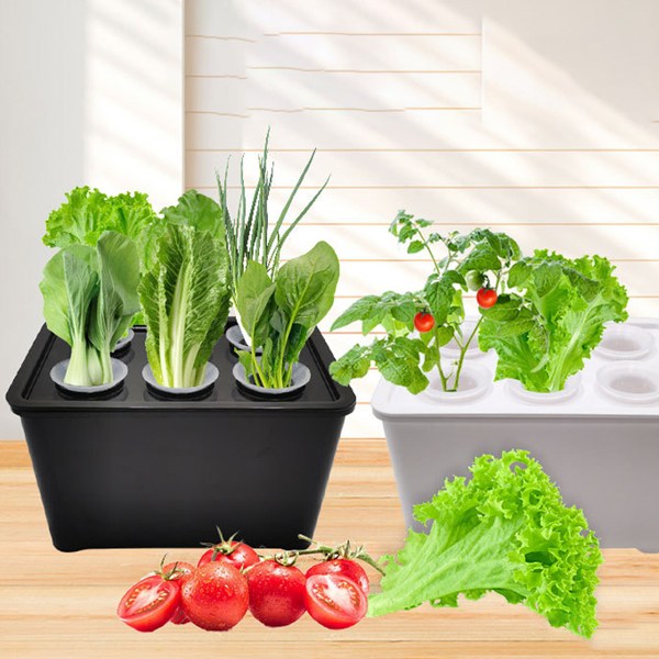 홈가드닝 플랜트박스 텃밭화분 저면관수 트레이 삽목판 수경재배 키트 육묘 상자 실내 베란다 13,000원