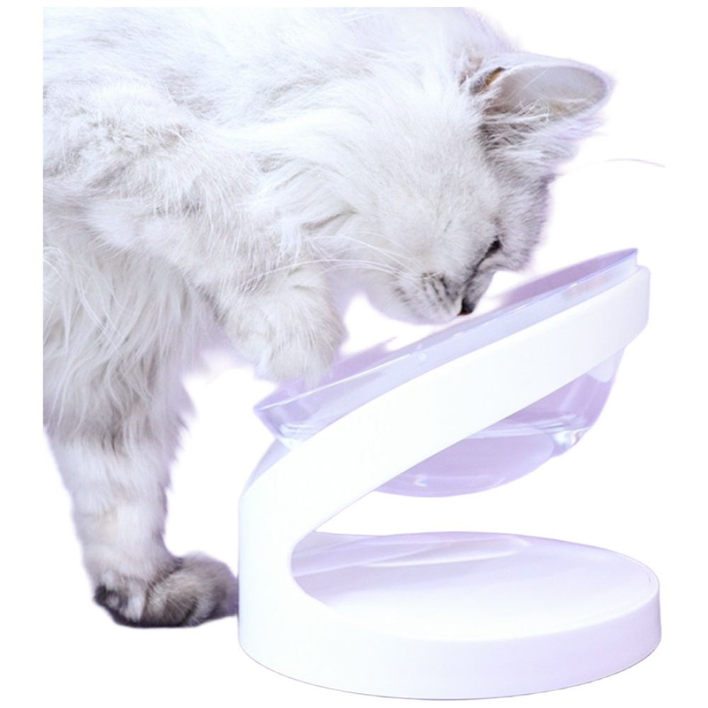 에코펫위드 반려동물 수반 1구, 투명, 1개 15,400원