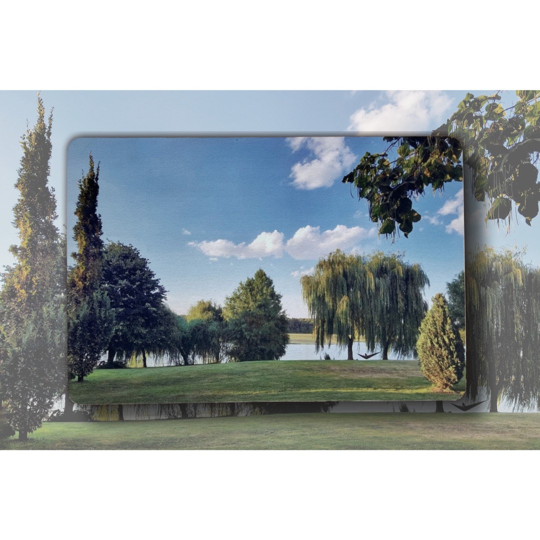 코지풀 비비드 네이쳐 워셔블 소프트 규조토 발매트 화장실 욕실 주방 빨아쓰는 미끄럼방지 16,000원