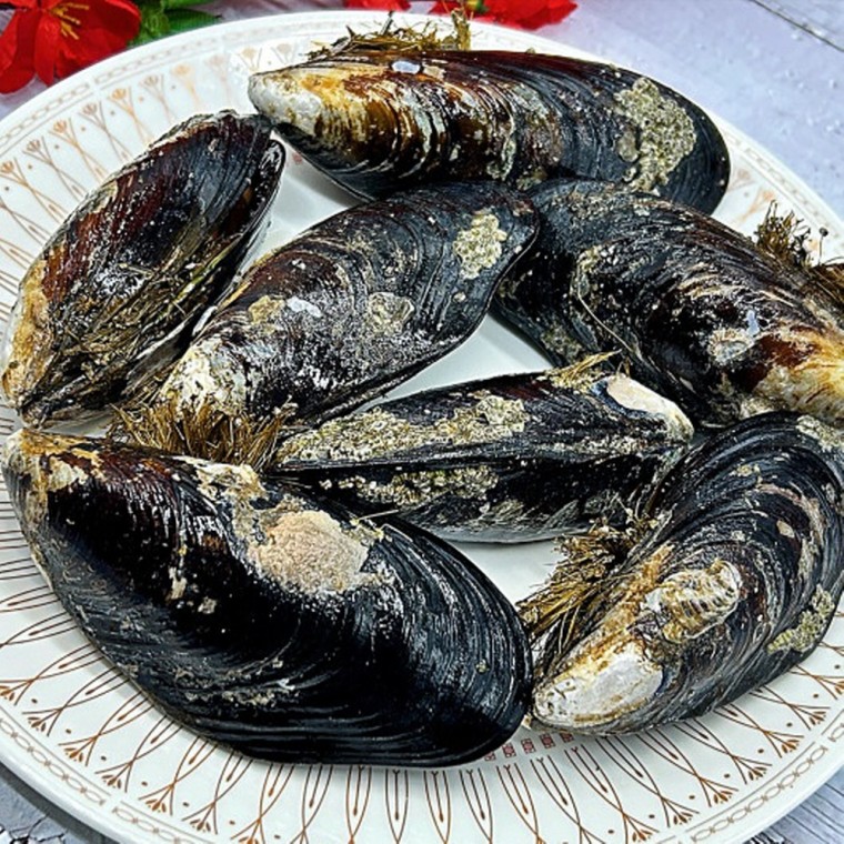 자연산 홍합 담치 3kg 특대 66,020원