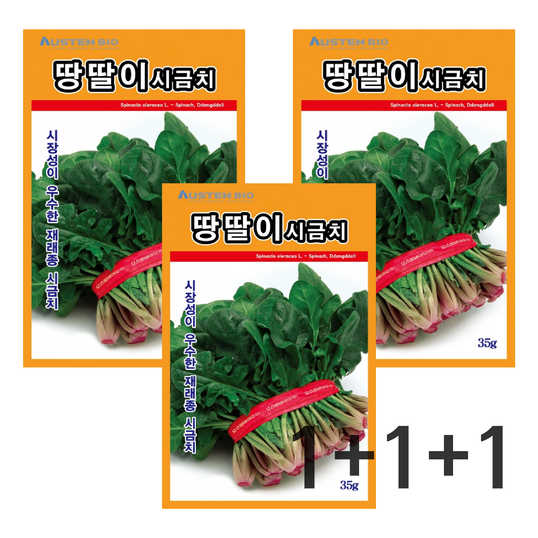 주주씨앗 땅딸이시금치 씨앗 35g 3봉 무료배송 겨울 월동 재래종 섬초 종자 씨 9,030원