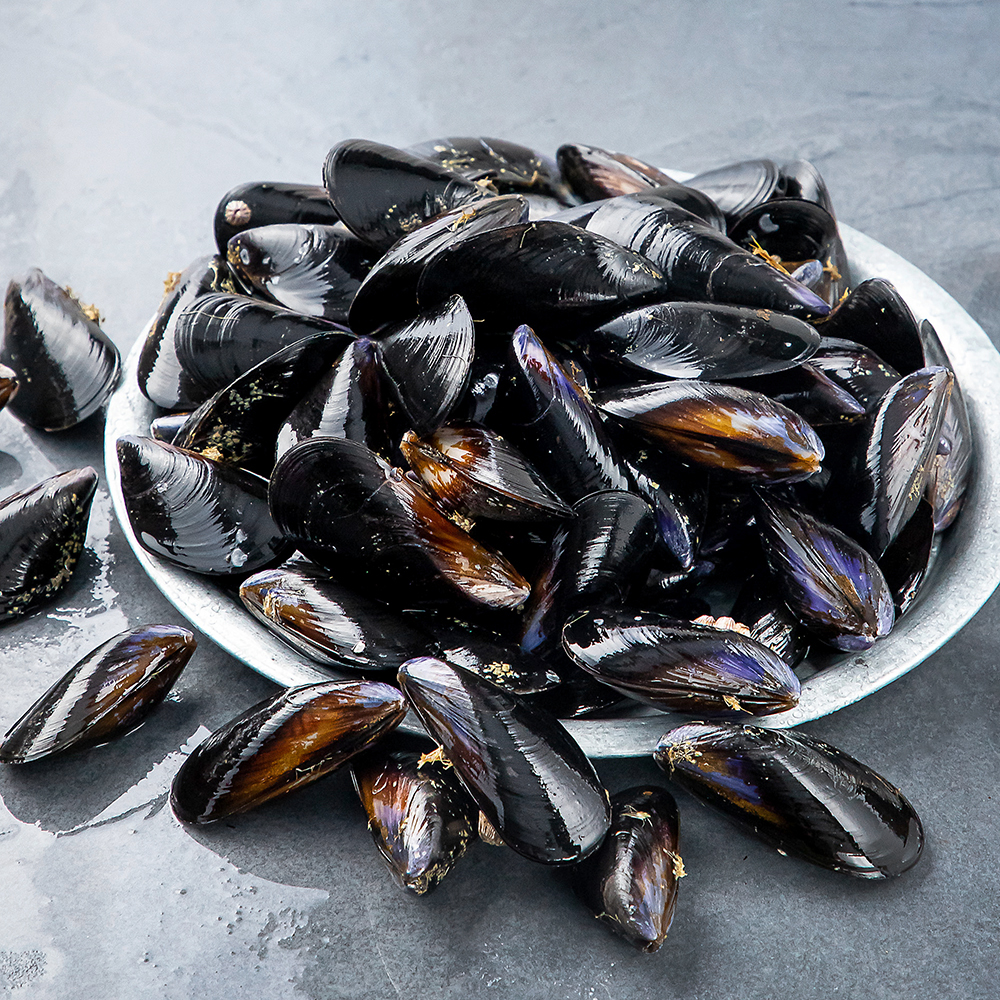 [로켓프레시] 바다자리 국산 생물 홍합 (냉장) 7,290원