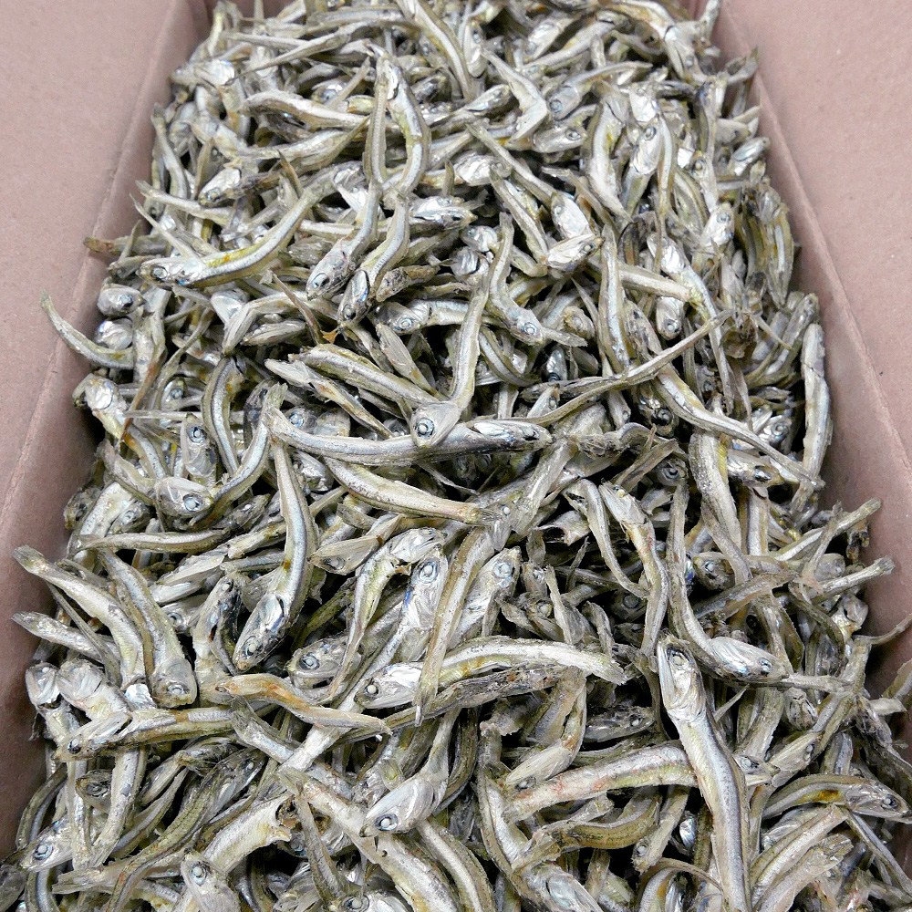 (3월 어획) 국산 햇 고바멸치 상급 중멸치 안주용 볶음용 고추장멸치 17,970원