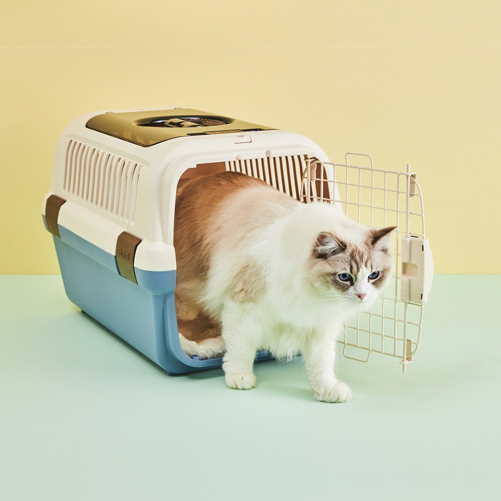 릿첼 강아지 고양이 이동장 이동가방 캐리어 캠핑 켄넬 케이지 더블도어 67,200원