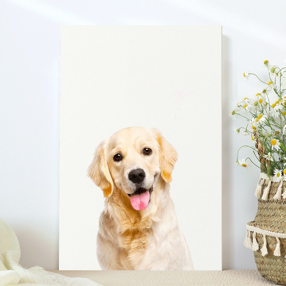 강아지 고양이 애완동물 반려동물 반려견 사진 방꾸미기 인테리어 캔버스 액자, 16리트리버 44,900원