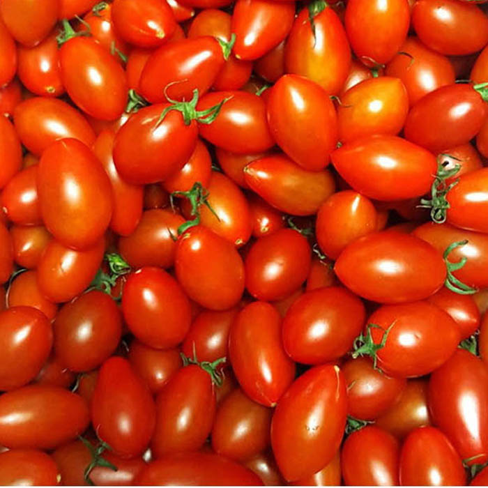 탱글탱글 대추방울토마토 15,900원