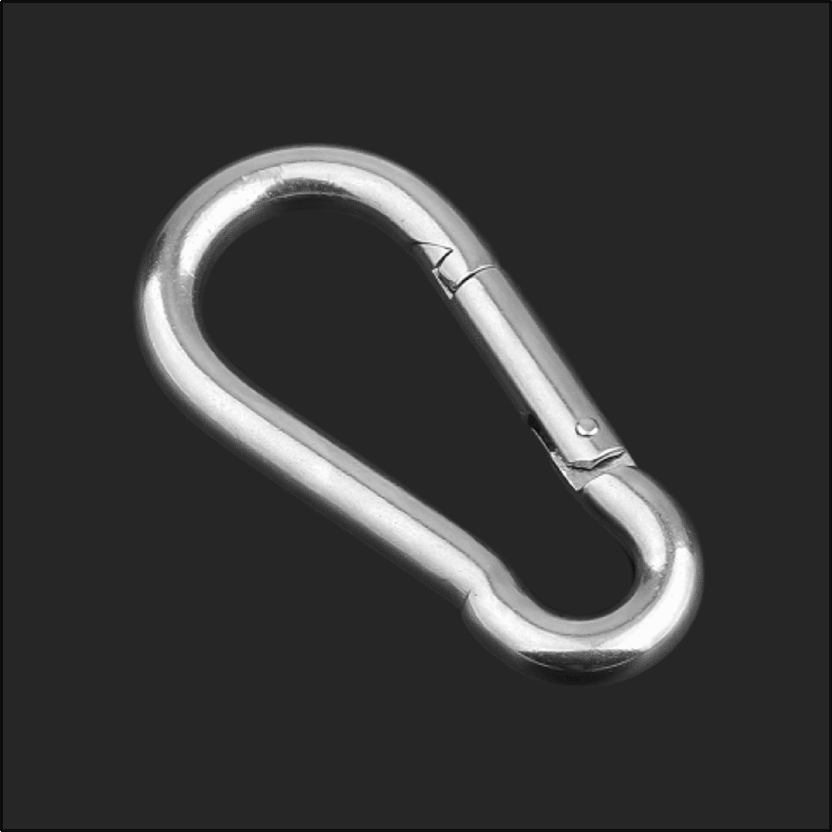 제이제이펫 강철비너 5cm 6cm 7cm 8cm 9cm 10개 5,200원