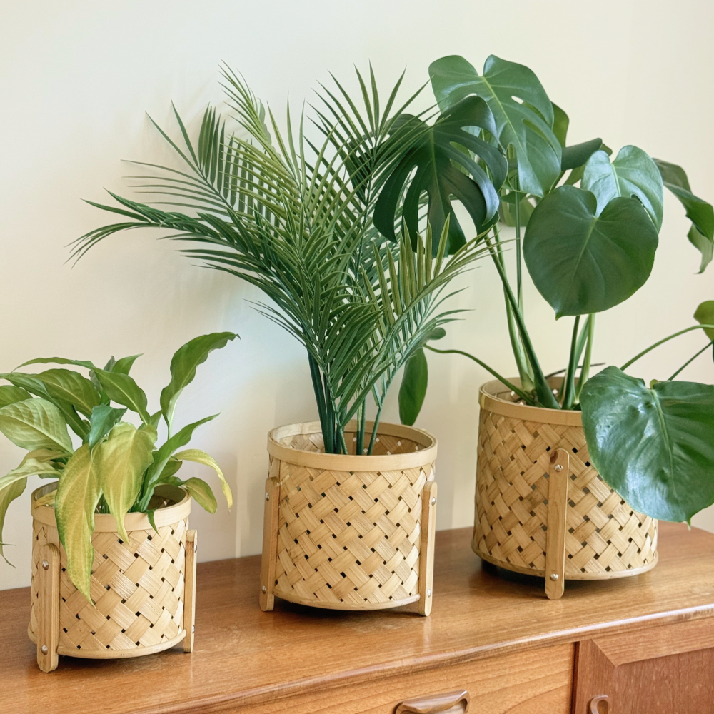 도르리 라탄 화분 커버 우드 바구니 화분 받침 바스켓 화분커버 플렌테리어, 1개, 내추럴 24,900원