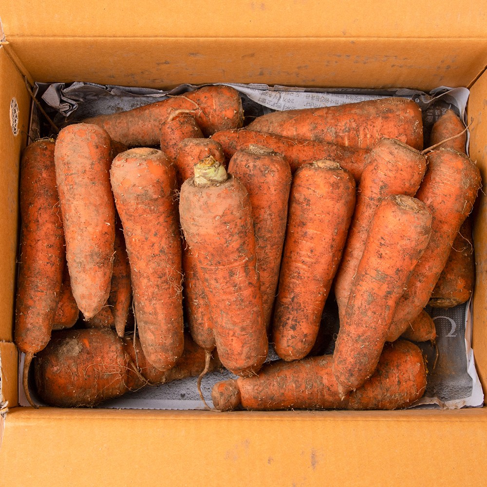 신선하랑 국내산 흙당근 48,470원