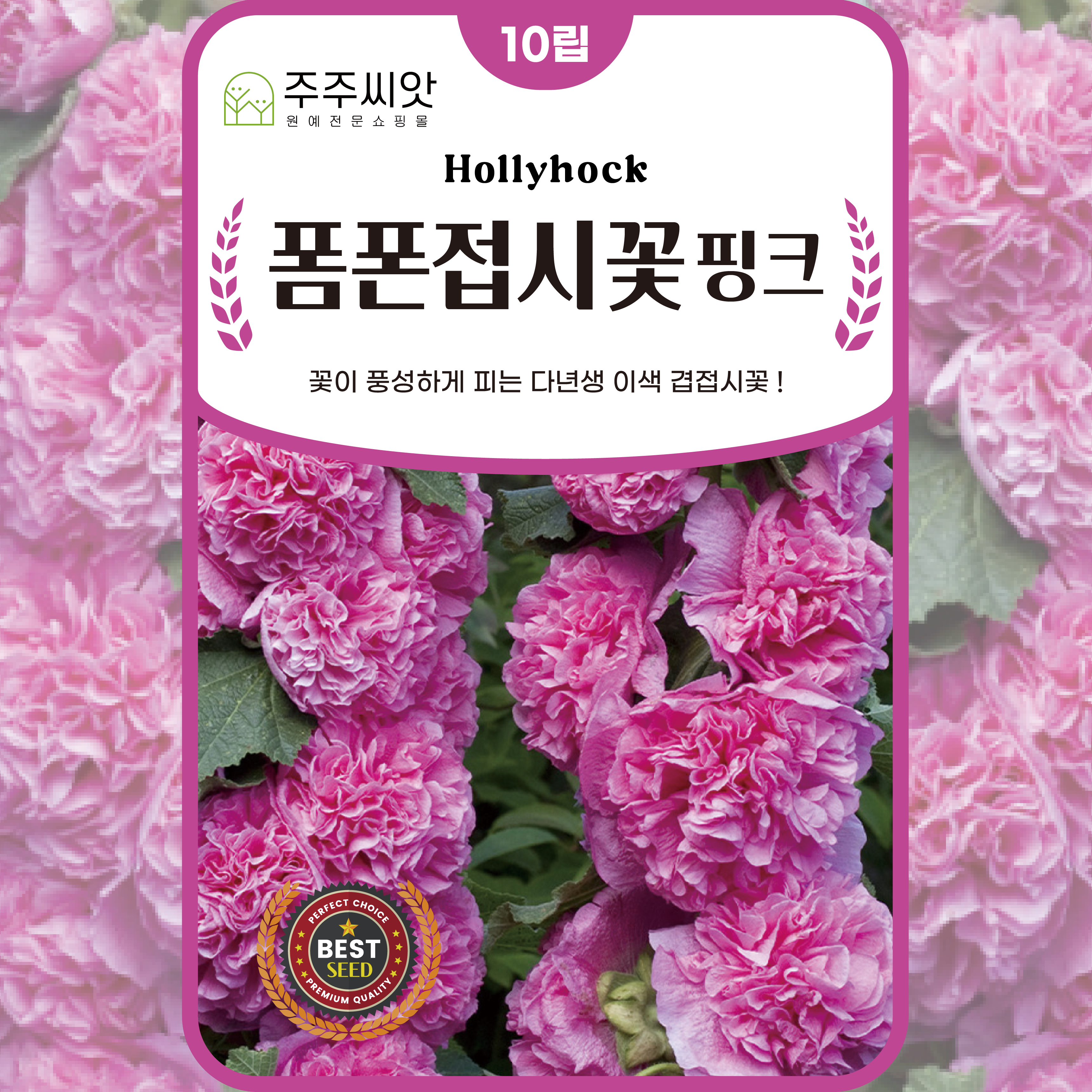 [주주씨앗] 폼폰접시꽃 하모니핑크 10립 겹접시꽃 종자 씨 겹꽃 씨앗 노지월동 다년생, 1개 3,000원