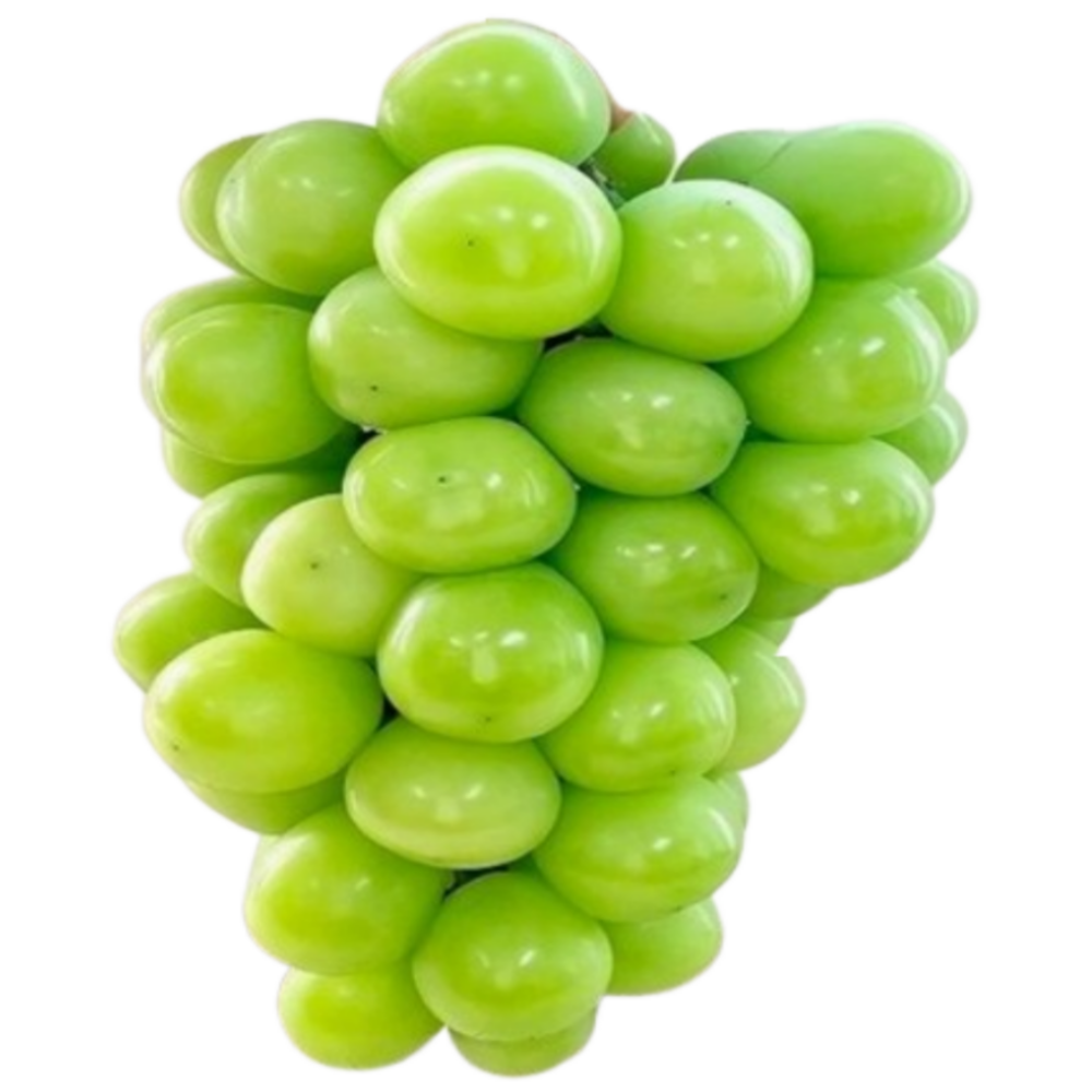 ( 당도 선별 ) 경북 김천 프리미엄 고당도 선물용 특품 샤인머스켓, 1개, 4kg ( 4 - 5수 ) 49,500원