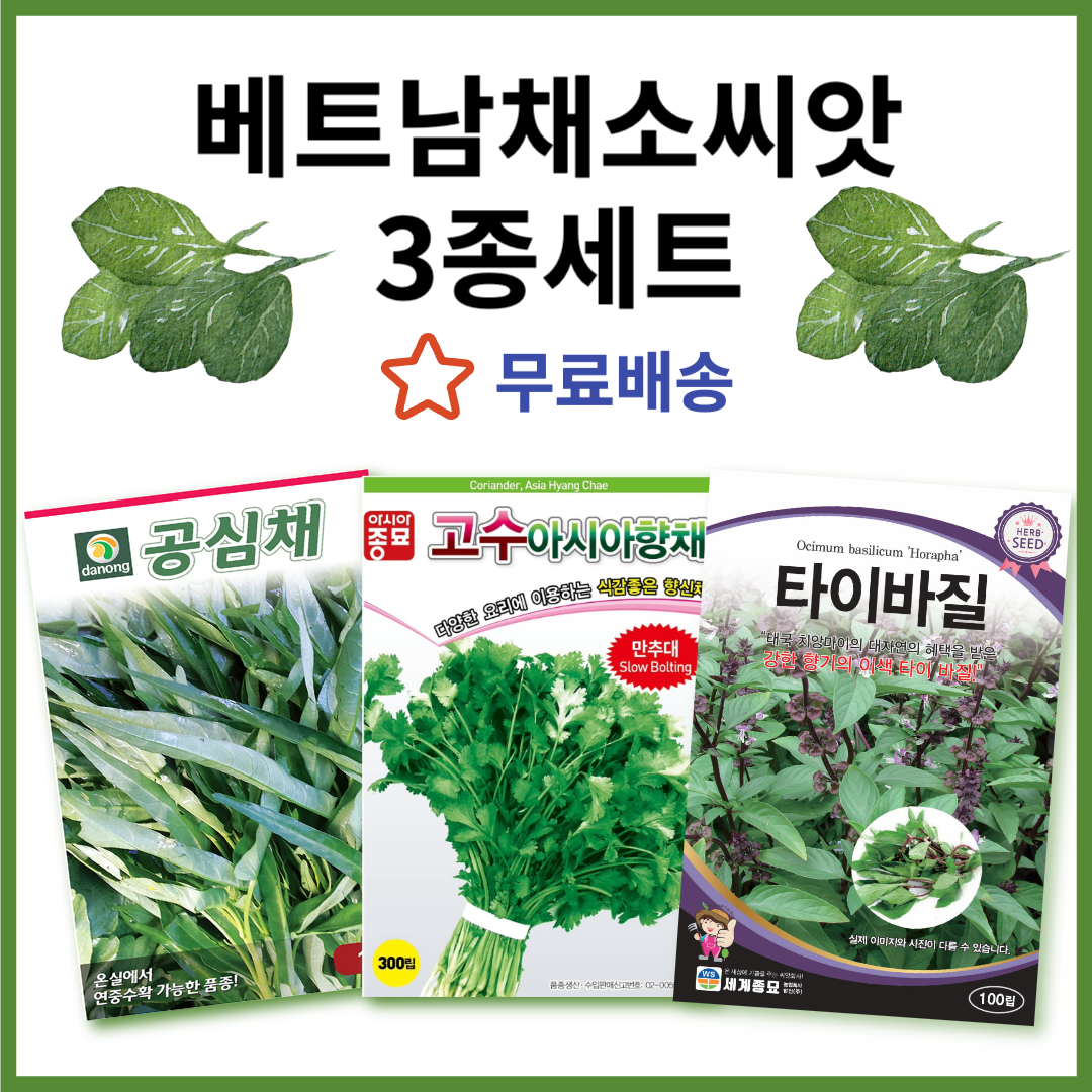 베트남 채소씨앗 3종세트 동남아 인기 채소씨앗 고수 공심채 타이바질 모닝글로리  채소씨 채소종자 12,500원