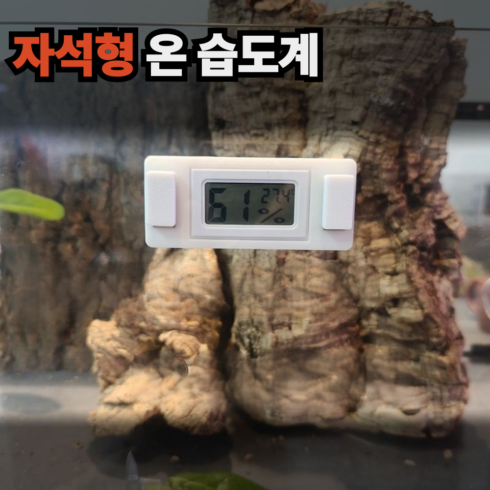 보물찾기 파충류 자석형 부착식 온습도계 도마뱀 크레 사육장 고정식 10,500원