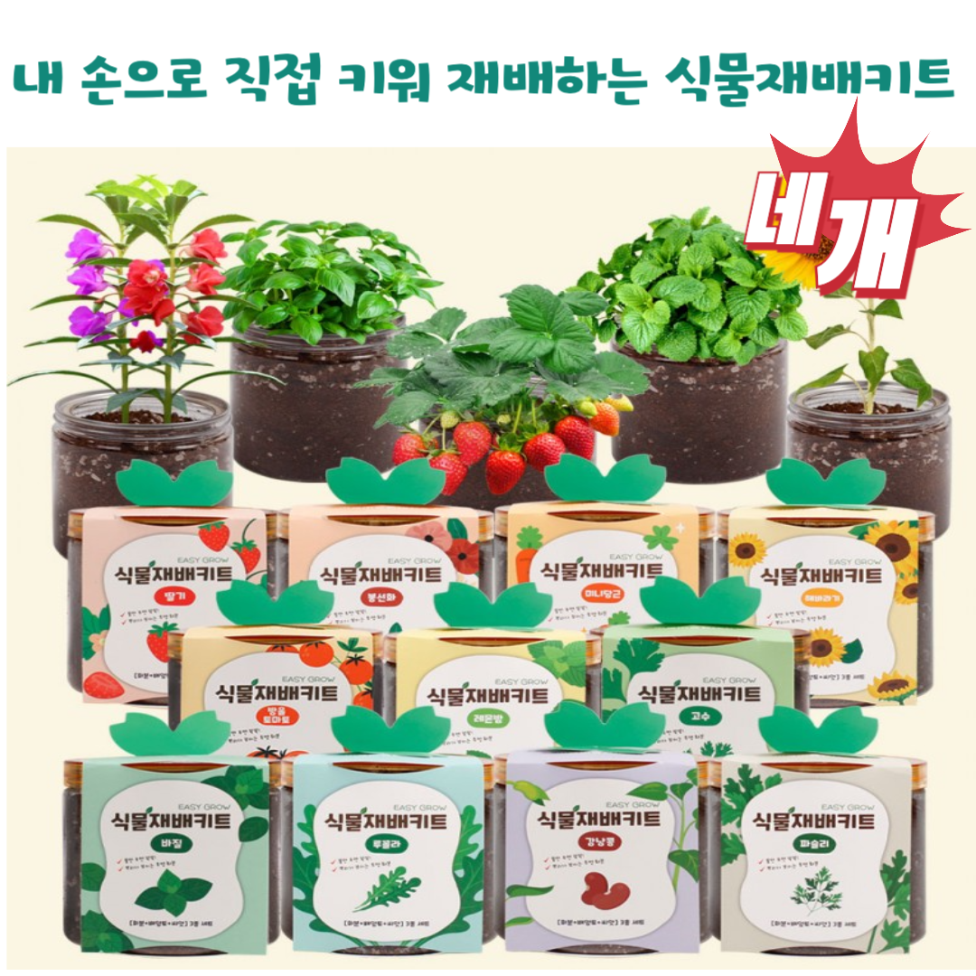힐링 반려식물 키우기 이지그로우 식물재배키트 4개 세트(11종) 식용식물 방울토마토 딸기 고수 바질 루꼴라 등 선택가능 16,900원