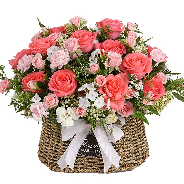 119플라워 (당일배송) 꽃가득선물 ST-A1753 꽃바구니 전국꽃배달 생일 기념일 꽃선물 생화 꽃배달, 1개 65,000원
