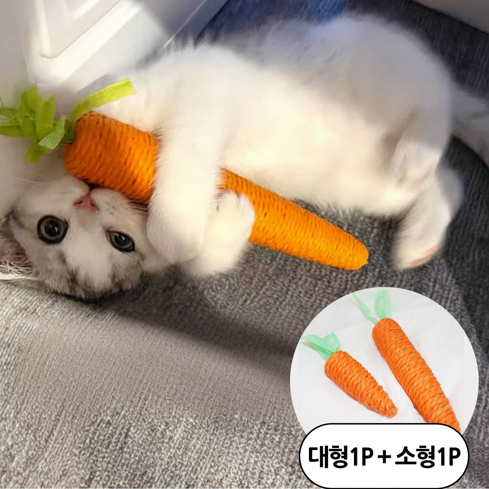 숭람 당근 이갈이 고양이 장난감 스크레쳐, 2개, 당근색 10,500원