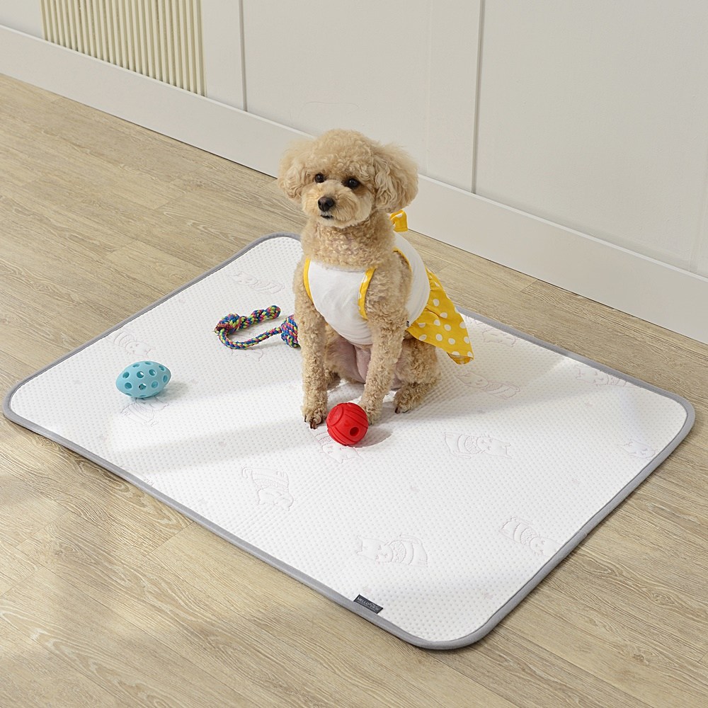 듀라론 냉감 논슬립 카페트 애견용 매트 방석 패드 개시원 쿨 패드 댕댕이 필수템 소형 대형 강아지 방석 쿠션, 블루, 1개 29,890원