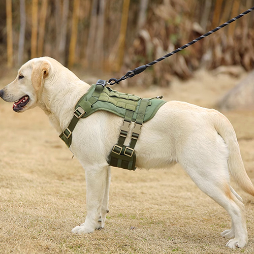 퍼플펫 강아지 대형견 앞섬방지 쓰리라인 하네스 18,000원