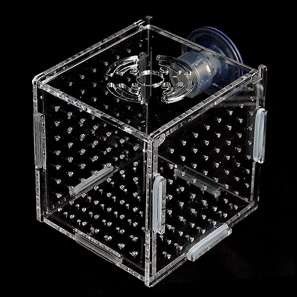 [득템] new 미니 아크릴격리박스 큐방형 (10x10x10cm) 7,920원